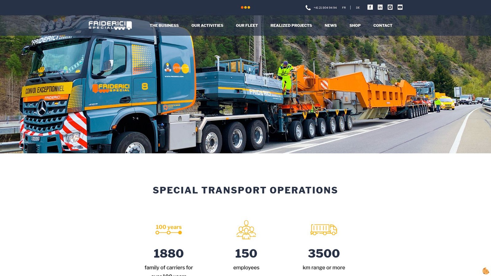 Screenshot of www.friderici.com