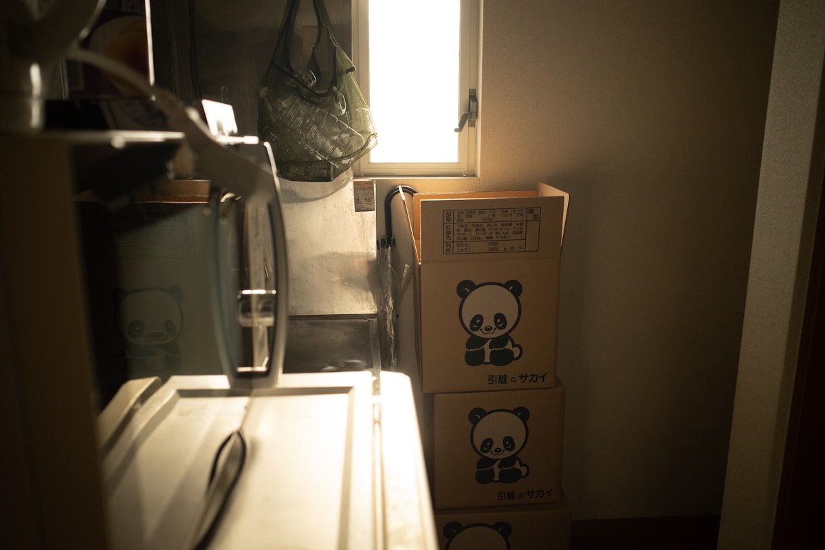 Boîtes en carton avec motifs de pandas, réfrigérateur et autres objets dans une pièce sombre.