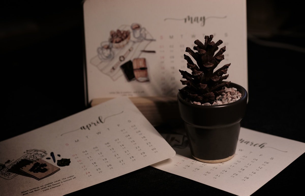 Calendrier, pot de fleurs avec pomme de pin, objets décoratifs sur fond sombre.