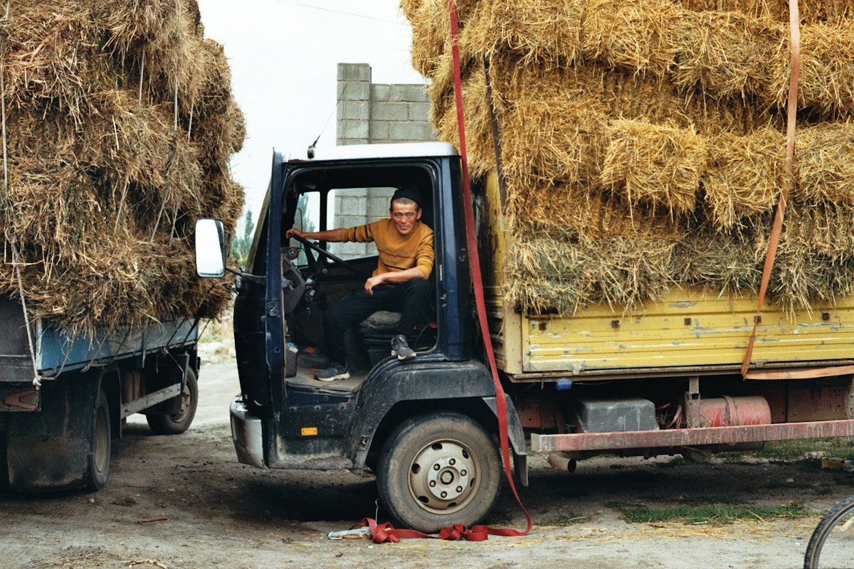 Homme conduisant un chariot élévateur chargé de bottes de foin.