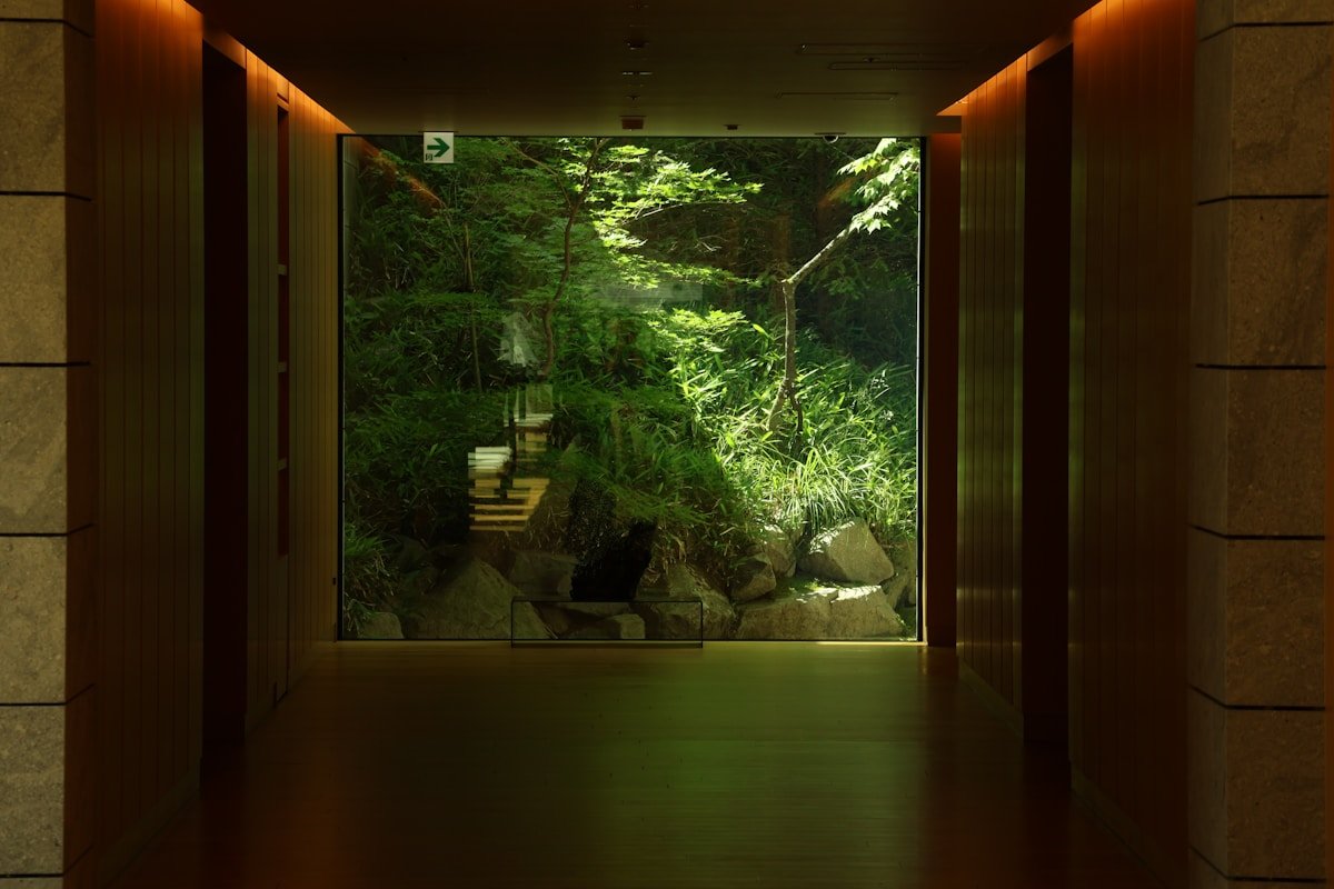 Couloir sombre avec fenêtre sur jardin verdoyant et escalier de pierre.